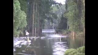 Hochwasser 2o13 bei Havelberg Tag 6 nach Scheitelwelle [upl. by Dorthea907]