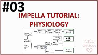 Impella device tutorial 003 Physics and physiology impella basics [upl. by Sonahpets409]