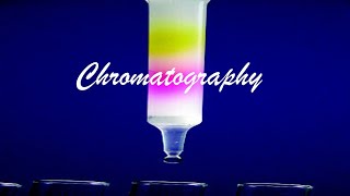 Chromatography Malayalam  Chemistry  Calicut University MG University [upl. by Osbourne]