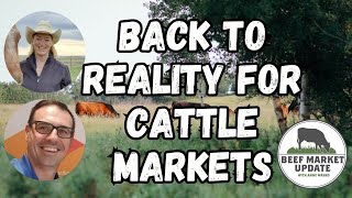 Beef Market Update Backtoschool is back to reality for cattle markets [upl. by Boccaj973]