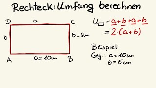 Umfang berechnen Rechteck [upl. by Ystap126]