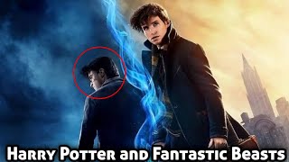 Connections Between Harry Potter and Fantastic Beasts Explained in Hindi [upl. by Fong626]