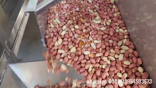 Blanched peanut processing plantRemove red skin by air [upl. by Frazer]