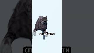 Всегда ли кошки приземляются на лапы 🐱 животные [upl. by Cavil285]