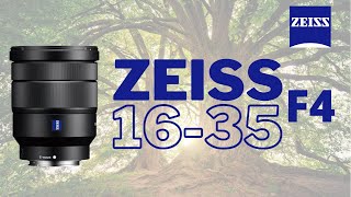 Sony VarioTessar T FE 1635mm f4 ZA OSS Lens  First and Last Impressions [upl. by Ennayhc]