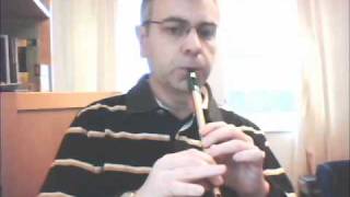 Tin Whistle  Westering Home [upl. by Katonah]