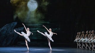 Insights The Royal Ballet in Rehearsal  Swan Lake [upl. by Aneled]