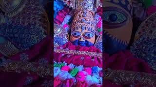 जय श्री श्याम 🙏❣️ khatu shyam khatushyam love trending viral shorts youtubeshorts [upl. by Sapphera64]