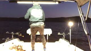 MASSIVEJEWFISH HAWKSBURY RIVER  RUN AT THE BOAT RAPALA LOWRANCE BLACKMAGICTACKLE [upl. by Lenrad]