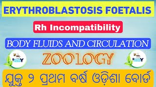 ERYTHROBLASTOSIS FOETALIS  Body Fluids and Circulation  biologytherapy chse neet 11th 12th [upl. by Edrick]