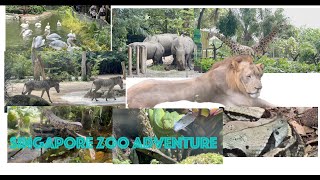 Ep 8  Singapore Zoo Tour Part 1 [upl. by Prader956]