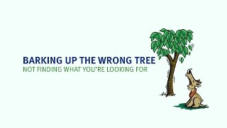 Barking up the wrong tree meaning  Learn the best English idioms [upl. by Barna384]