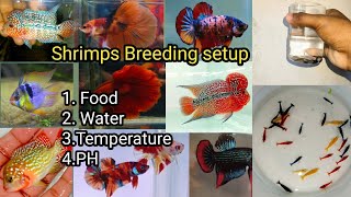 Shrimps Breeding Tank Setup Full Details [upl. by Patrizia]