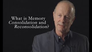 What is Memory Consolidation and Reconsolidation [upl. by Enened845]