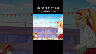 Me luring in my dog to give her a bath mydeerfriendnokotan funny memes anime rock music [upl. by Annasoh]