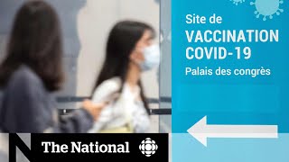 Feds say workers refusing to get vaccinated can’t count on EI [upl. by Schaefer443]