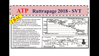 Rattrapage 2018 SVT ATP [upl. by Iana400]