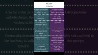 Difference between Antigen and Antiboody [upl. by Hartmann]