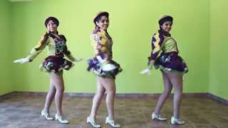 Mix de Sayas  Coreografia [upl. by Adlitam]