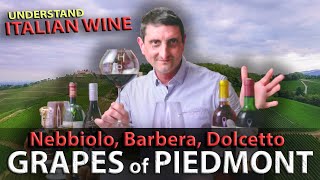 Piedmonts Wine TRILOGY Nebbiolo Barbera Dolcetto  Italian Wine 101 [upl. by Zulema]