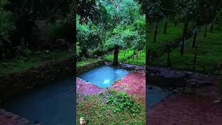 Subscribe wandoor wonoor nature wayanad waterfall monsoonmalabar naturelovers wadakkanchery [upl. by Burwell]