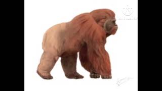 Gigantopithecus physiology subliminal [upl. by Alfred]