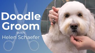 Doodle Grooming Demo with Helen Schaefer [upl. by Raf]