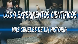 Los 9 EXPERIMENTOS CIENTÍFICOS MÁS CRUELES de la historia [upl. by Ikeda293]