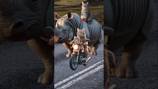 Cute kittens and rhino take my kinderjoy catlover cutecat catvideos trendingshorts [upl. by Ahsekat]