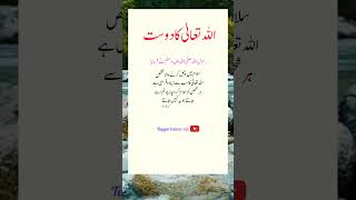 Allah ka dost islamicstatus youtube islamicshort [upl. by Lertram]