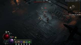 Diablo IV【PTR SS5】Unstable Elixir are amazing [upl. by Hadihsar]