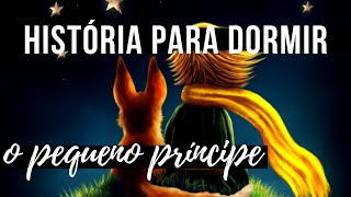 História para Dormir Pequeno Príncipe 12 [upl. by Raddatz]