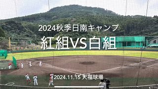 来春の一軍キャンプスタートをかけて、若鯉のアピールの紅白戦！【20241115秋季日南キャンプ】広島カープ2024秋季日南キャンプ天福球場紅白戦 [upl. by Darcee788]