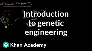 Introduction to genetic engineering  Molecular genetics  High school biology  Khan Academy [upl. by Ttoille]