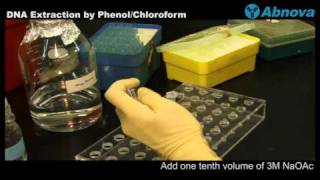 DNA Extraction by Phenol Chloroform [upl. by Yelyah]