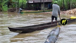 El Chocó bajo el agua y la amenaza del ELN [upl. by Yhtomit]