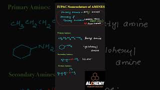 NOMENCLATURE OF AMINES chemistryeducation NEETJEE [upl. by Assille]