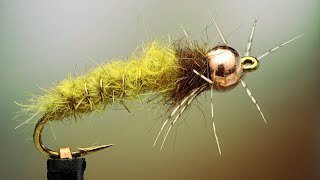 Eureka caseless caddis nymph [upl. by Fidellia]