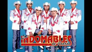 Los Indomables de Cedral  La ausencia de tu amor [upl. by Augusta]