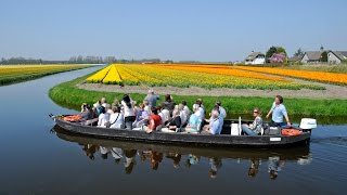 Keukenhof Gardens [upl. by Trinetta496]