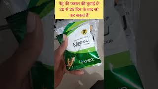 गेहूं के खरपतवार को कैसे नियंत्रण करें  Metsulfuron methyl 20 [upl. by Dearden]