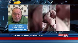 Carnea de porc la control [upl. by Hersch]