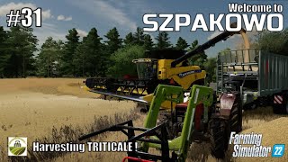 Harvesting TRITICALE   31 SZPAKOWO  Poland  FS22  PlayStation 5 [upl. by Denie281]