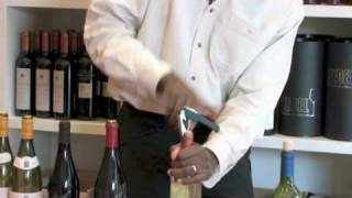 Wine Types amp Selection Tips  Open a Wine Bottle Correctly [upl. by Sibie]