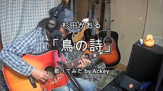 杉田かおる「鳥の詩」歌ってみた by Ackey [upl. by Amak]