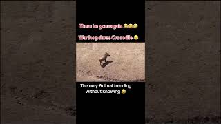 Kasongo again😂😂😂goviral PLEASE SUBSCRIBE FOR MORE MY LOVES [upl. by Nodyl346]