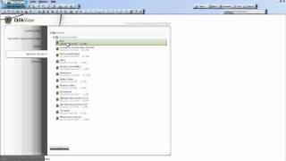 QlikView License Leasing [upl. by Lorenzo871]