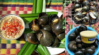 Grilled Butter Snails with Spicy Pepper Sauce  Awesome Cooking Recipe [upl. by Haim671]