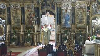 Episcopia GrecoCatolică de Oradea Live Stream [upl. by Middle122]