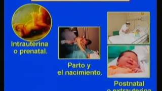 Pediatria 1 Video Orientadora 1 Medicina Integral Comunitaria [upl. by Odiug]